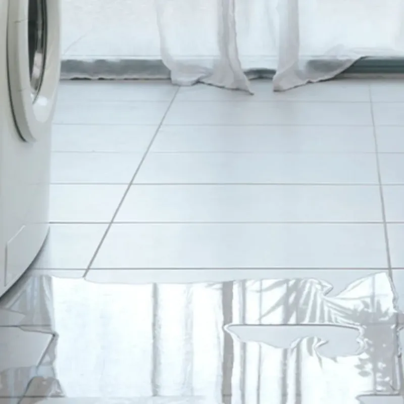 Appliance Leak Cleanup in Gallatin, TN