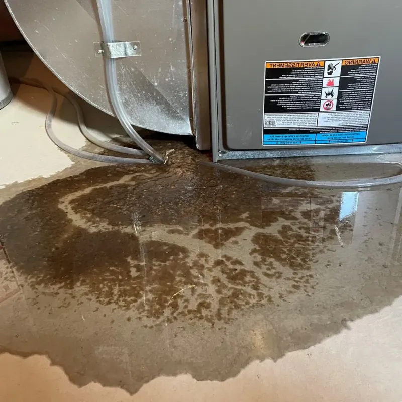 Pipe Burst and Leak Restoration in Gallatin, TN